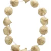 Fun Place Garlic Garland
