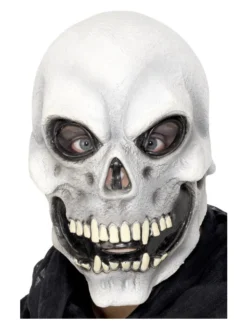 Fun Place Skull Overhead Mask Masks