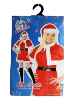 Fun Place Miss Santa Costume Costumes & Characters