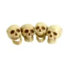 Fun Place Skull Heads