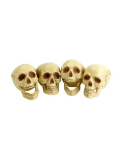 Fun Place Skull Heads