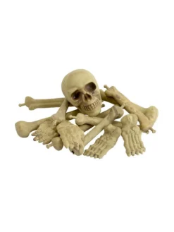 Fun Place Accessories Bag Of Bones & Skull