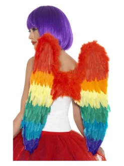 Fun Place Feather Wings, Rainbow