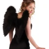 Fun Place Black Feather Angel Wings 50x50cm (Foldable)