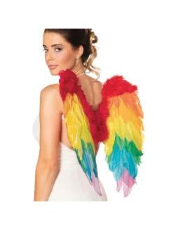 Fun Place Rainbow Foldable Angel Wings (50 X 50 Cm) Festivals