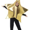 Fun Place Shining Star Costume