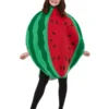 Fun Place Watermelon Costume Shop By Theme