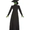 Fun Place Wicked Witch Costume
