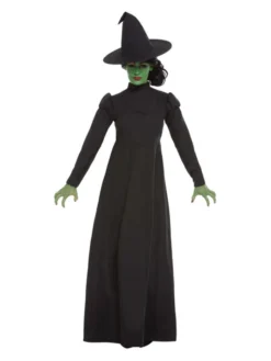 Fun Place Wicked Witch Costume