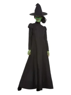 Fun Place Wicked Witch Costume