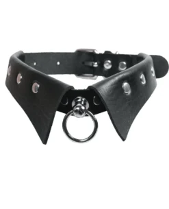 Fun Place Hidden Ring Collar Accessories