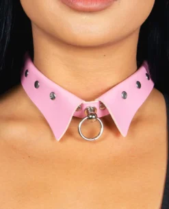 Fun Place Hidden Ring Collar Accessories