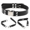 Fun Place Accessories New Buckle Collar