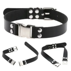 Fun Place Accessories New Buckle Collar