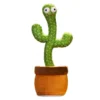 Fun Place Gifts, Jokes & Party Wear Dancing Cactus